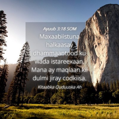 Picture 04 - Ayuub 3:18 SOM - Maxaabiistuna halkaasay dhammaantood ku wada - Bible Verse Picture