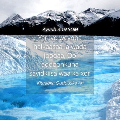 Picture 04 - Ayuub 3:19 SOM - Yar iyo weynba halkaasaa la wada joogaa, Oo - Bible Verse Picture