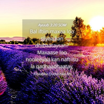 Picture 04 - Ayuub 3:20 SOM - Bal iftiin maxaa loo siiyaa kan dhibaataysan? - Bible Verse Picture