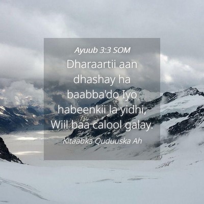 Picture 04 - Ayuub 3:3 SOM - Dharaartii aan dhashay ha baabba'do Iyo habeenkii - Bible Verse Picture