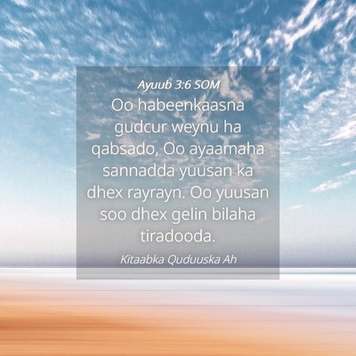 Picture 04 - Ayuub 3:6 SOM - Oo habeenkaasna gudcur weynu ha qabsado, Oo - Bible Verse Picture