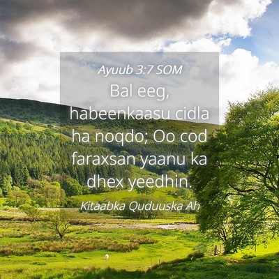 Picture 04 - Ayuub 3:7 SOM - Bal eeg, habeenkaasu cidla ha noqdo; Oo cod - Bible Verse Picture