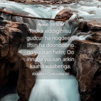 Picture 04 - Ayuub 3:9 SOM - Fiidka xiddigihiisu gudcur ha noqdeen, Iftiin ha - Bible Verse Picture