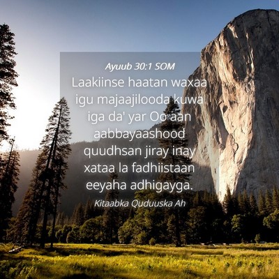 Picture 04 - Ayuub 30:1 SOM - Laakiinse haatan waxaa igu majaajilooda kuwa iga - Bible Verse Picture