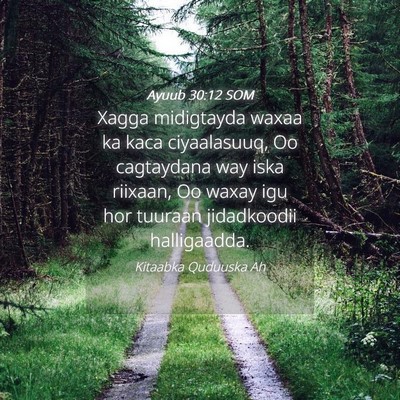 Picture 04 - Ayuub 30:12 SOM - Xagga midigtayda waxaa ka kaca ciyaalasuuq, Oo - Bible Verse Picture