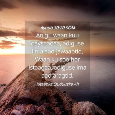 Picture 04 - Ayuub 30:20 SOM - Anigu waan kuu qayshadaa, adiguse iima aad - Bible Verse Picture