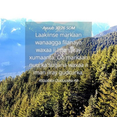 Picture 04 - Ayuub 30:26 SOM - Laakiinse markaan wanaagga filanayo waxaa ii iman - Bible Verse Picture