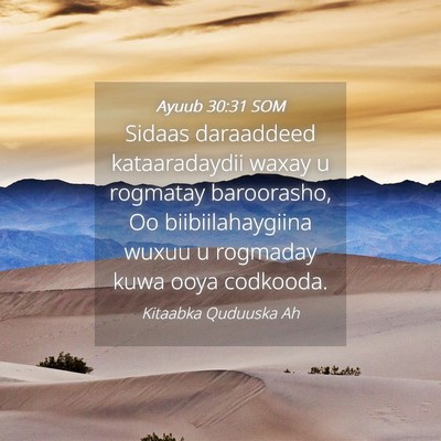 Picture 04 - Ayuub 30:31 SOM - Sidaas daraaddeed kataaradaydii waxay u rogmatay - Bible Verse Picture