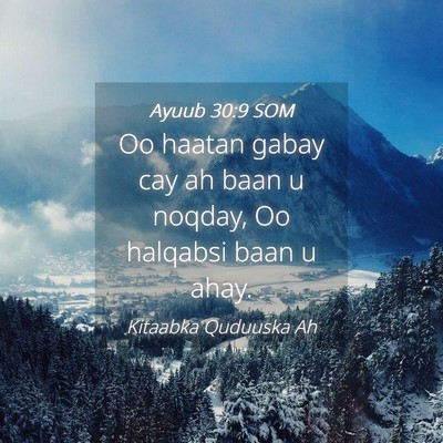 Picture 04 - Ayuub 30:9 SOM - Oo haatan gabay cay ah baan u noqday, Oo halqabsi - Bible Verse Picture