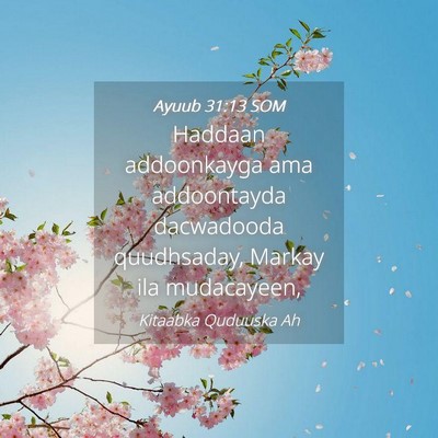 Picture 04 - Ayuub 31:13 SOM - Haddaan addoonkayga ama addoontayda dacwadooda - Bible Verse Picture