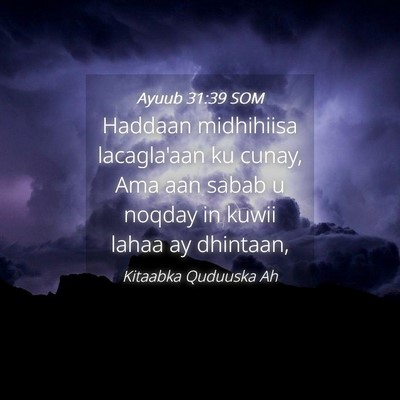 Picture 04 - Ayuub 31:39 SOM - Haddaan midhihiisa lacagla'aan ku cunay, Ama aan - Bible Verse Picture