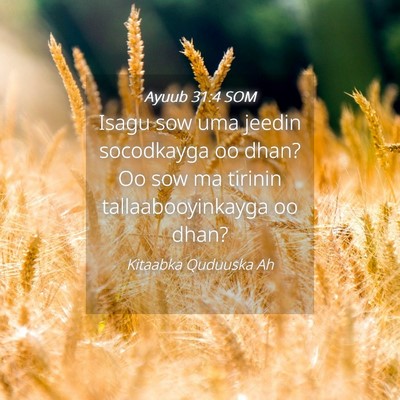 Picture 04 - Ayuub 31:4 SOM - Isagu sow uma jeedin socodkayga oo dhan? Oo sow - Bible Verse Picture