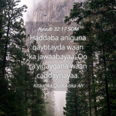 Picture 04 - Ayuub 32:17 SOM - Haddaba aniguna qaybtayda waan ka jawaabayaa, Oo - Bible Verse Picture