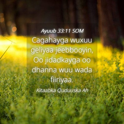 Picture 04 - Ayuub 33:11 SOM - Cagahayga wuxuu geliyaa jeebbooyin, Oo jidadkayga - Bible Verse Picture