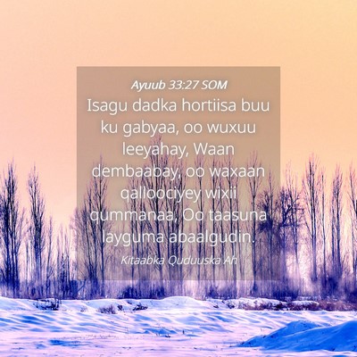Picture 04 - Ayuub 33:27 SOM - Isagu dadka hortiisa buu ku gabyaa, oo wuxuu - Bible Verse Picture