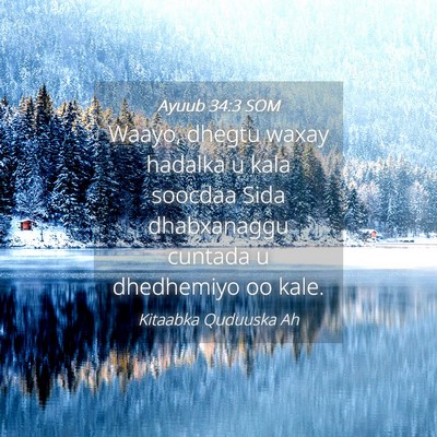 Picture 04 - Ayuub 34:3 SOM - Waayo, dhegtu waxay hadalka u kala soocdaa Sida - Bible Verse Picture