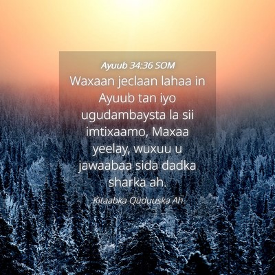 Picture 04 - Ayuub 34:36 SOM - Waxaan jeclaan lahaa in Ayuub tan iyo - Bible Verse Picture