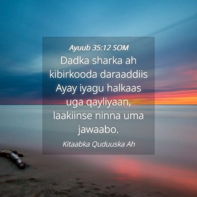 Picture 04 - Ayuub 35:12 SOM - Dadka sharka ah kibirkooda daraaddiis Ayay iyagu - Bible Verse Picture