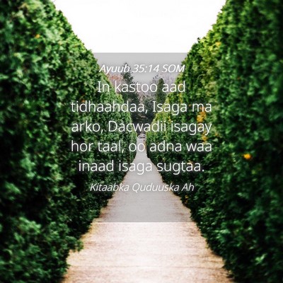 Picture 04 - Ayuub 35:14 SOM - In kastoo aad tidhaahdaa, Isaga ma arko, Dacwadii - Bible Verse Picture