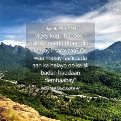 Picture 04 - Ayuub 35:3 SOM - Miyey kugu habboon tahay inaad tidhaahdid, Maxay - Bible Verse Picture