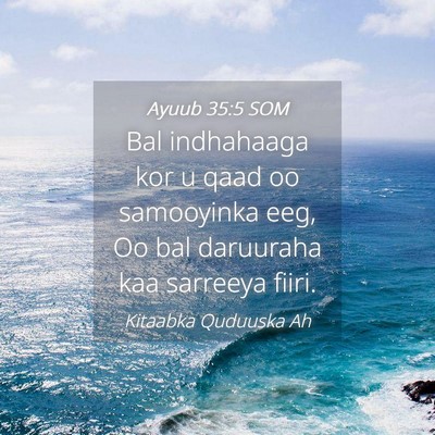 Picture 04 - Ayuub 35:5 SOM - Bal indhahaaga kor u qaad oo samooyinka eeg, Oo - Bible Verse Picture