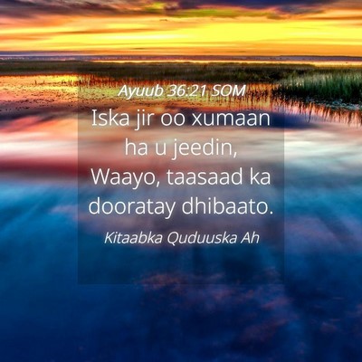 Picture 04 - Ayuub 36:21 SOM - Iska jir oo xumaan ha u jeedin, Waayo, taasaad ka - Bible Verse Picture