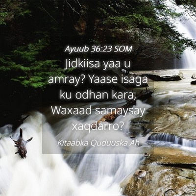 Picture 04 - Ayuub 36:23 SOM - Jidkiisa yaa u amray? Yaase isaga ku odhan kara, - Bible Verse Picture