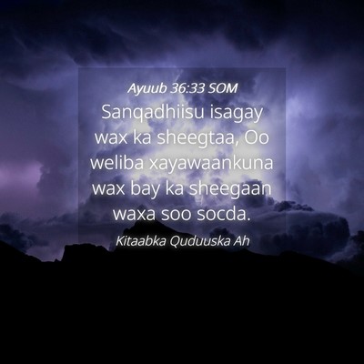Picture 04 - Ayuub 36:33 SOM - Sanqadhiisu isagay wax ka sheegtaa, Oo weliba - Bible Verse Picture