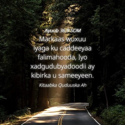 Picture 04 - Ayuub 36:9 SOM - Markaas wuxuu iyaga ku caddeeyaa falimahooda, Iyo - Bible Verse Picture