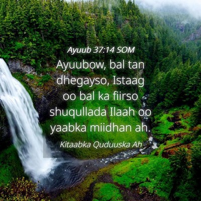 Picture 04 - Ayuub 37:14 SOM - Ayuubow, bal tan dhegayso, Istaag oo bal ka - Bible Verse Picture