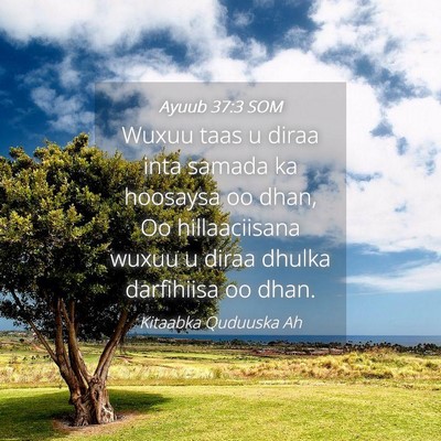 Picture 04 - Ayuub 37:3 SOM - Wuxuu taas u diraa inta samada ka hoosaysa oo - Bible Verse Picture
