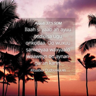 Picture 04 - Ayuub 37:5 SOM - Ilaah si yaab ah ayuu codkiisa ugu onkodaa, Oo - Bible Verse Picture