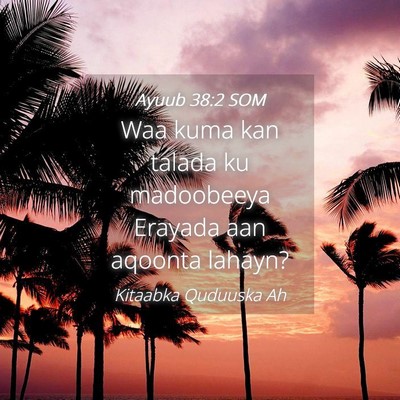 Picture 04 - Ayuub 38:2 SOM - Waa kuma kan talada ku madoobeeya Erayada aan - Bible Verse Picture