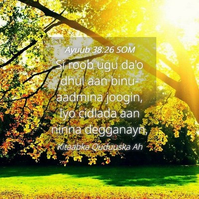 Picture 04 - Ayuub 38:26 SOM - Si roob ugu da'o dhul aan binu-aadmina joogin, - Bible Verse Picture