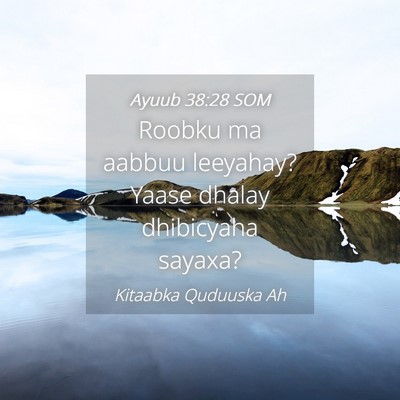 Picture 04 - Ayuub 38:28 SOM - Roobku ma aabbuu leeyahay? Yaase dhalay - Bible Verse Picture
