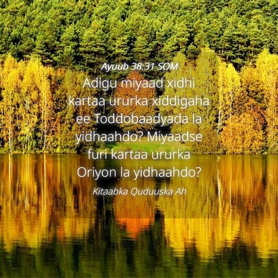 Picture 04 - Ayuub 38:31 SOM - Adigu miyaad xidhi kartaa ururka xiddigaha ee - Bible Verse Picture