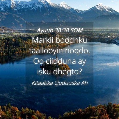 Picture 04 - Ayuub 38:38 SOM - Markii boodhku taallooyin noqdo, Oo ciidduna ay - Bible Verse Picture
