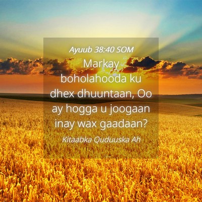 Picture 04 - Ayuub 38:40 SOM - Markay boholahooda ku dhex dhuuntaan, Oo ay hogga - Bible Verse Picture