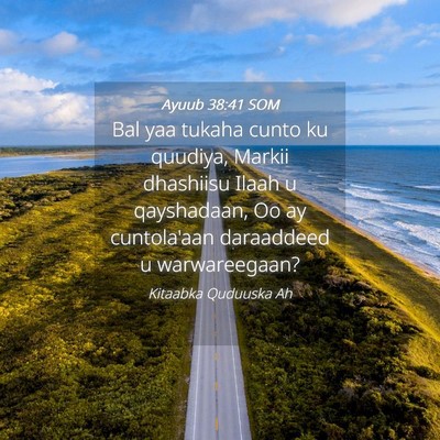 Picture 04 - Ayuub 38:41 SOM - Bal yaa tukaha cunto ku quudiya, Markii dhashiisu - Bible Verse Picture