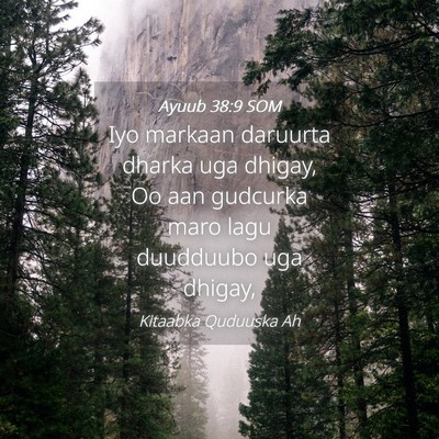 Picture 04 - Ayuub 38:9 SOM - Iyo markaan daruurta dharka uga dhigay, Oo aan - Bible Verse Picture