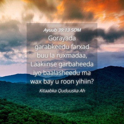 Picture 04 - Ayuub 39:13 SOM - Gorayada garabkeedu farxad buu la ruxmadaa, - Bible Verse Picture