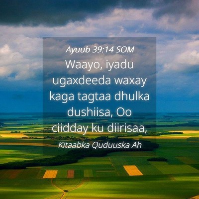 Picture 04 - Ayuub 39:14 SOM - Waayo, iyadu ugaxdeeda waxay kaga tagtaa dhulka - Bible Verse Picture