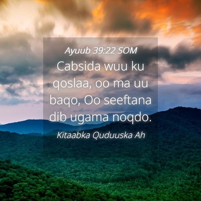 Picture 04 - Ayuub 39:22 SOM - Cabsida wuu ku qoslaa, oo ma uu baqo, Oo seeftana - Bible Verse Picture