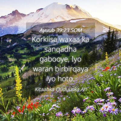 Picture 04 - Ayuub 39:23 SOM - Korkiisa waxaa ka sanqadha gabooye, Iyo waran - Bible Verse Picture