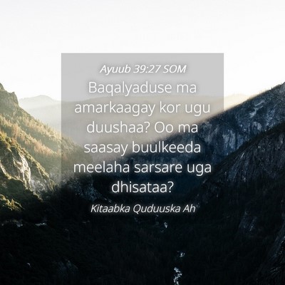 Picture 04 - Ayuub 39:27 SOM - Baqalyaduse ma amarkaagay kor ugu duushaa? Oo ma - Bible Verse Picture