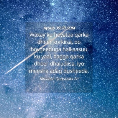 Picture 04 - Ayuub 39:28 SOM - Waxay ku hoyataa qarka dheer korkiisa, oo - Bible Verse Picture