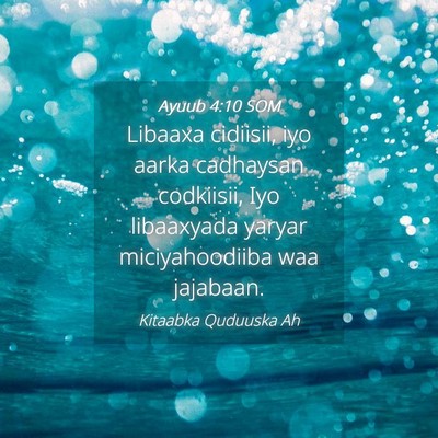 Picture 04 - Ayuub 4:10 SOM - Libaaxa cidiisii, iyo aarka cadhaysan codkiisii, - Bible Verse Picture