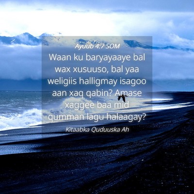 Picture 04 - Ayuub 4:7 SOM - Waan ku baryayaaye bal wax xusuuso, bal yaa - Bible Verse Picture
