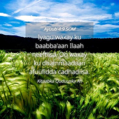 Picture 04 - Ayuub 4:9 SOM - Iyagu waxay ku baabba'aan Ilaah neeftiisa, Oo - Bible Verse Picture