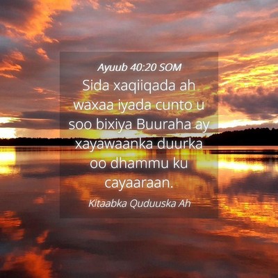 Picture 04 - Ayuub 40:20 SOM - Sida xaqiiqada ah waxaa iyada cunto u soo bixiya - Bible Verse Picture